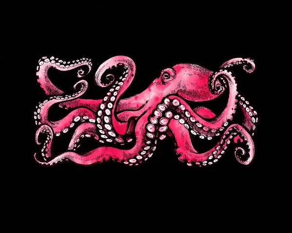 Pulpo Rosa Con Tentáculos Ilustración Acuarela Sobre Fondo Negro Tatuaje —  Fotos de Stock