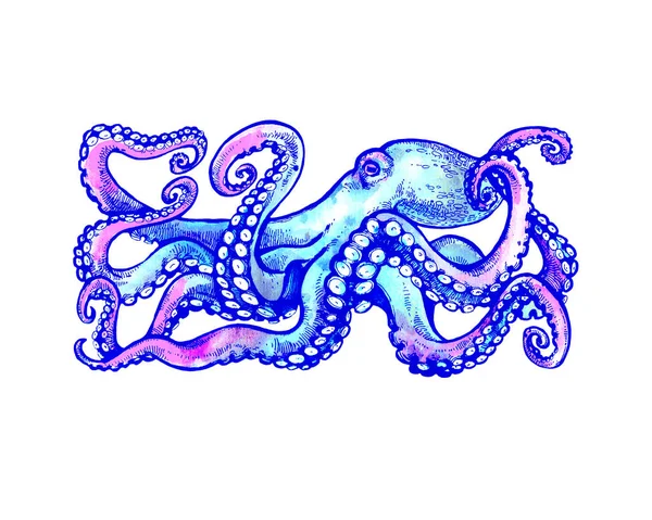 Blauwe Octopus Met Tentakels Aquarel Illustratie Witte Achtergrond Tattoo Schets — Stockfoto