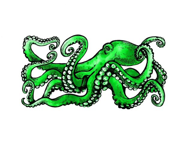 Groene Octopus Aquarel Illustratie Witte Achtergrond Tattoo Schets — Stockfoto