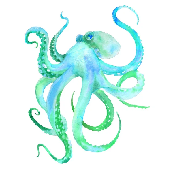 Blauer Oktopus Aquarell Illustration — Stockfoto