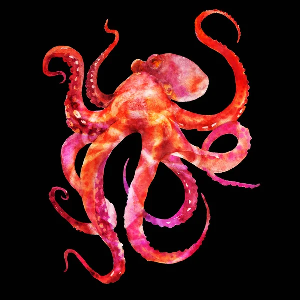 Roze Rood Octopus Met Tentakels Aquarel Illustratie Geïsoleerd Zwarte Achtergrond — Stockfoto