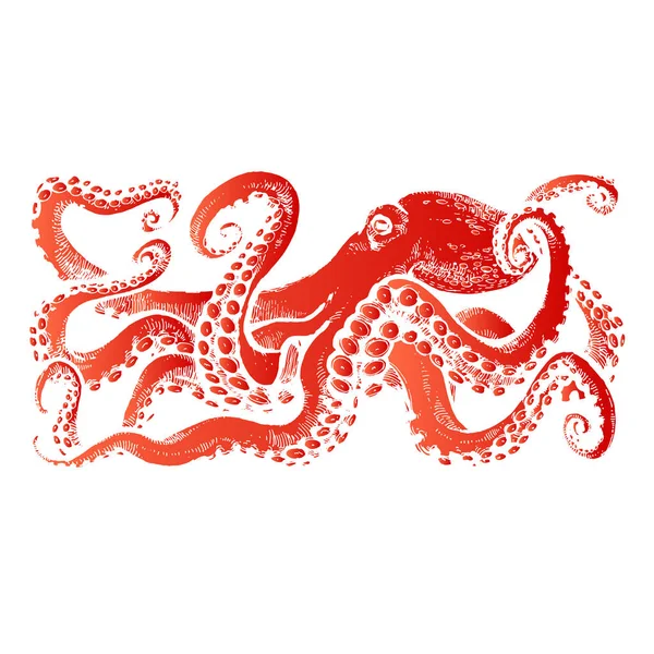 Red Octopus Met Tentakels Hand Getekend Voorraad Vectorillustratie — Stockfoto