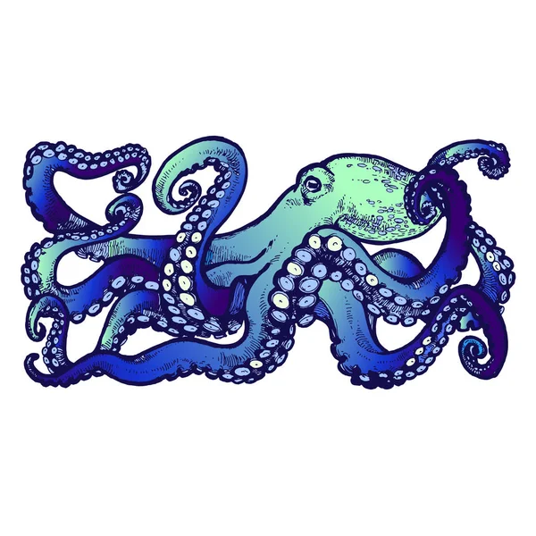 Blauwe Octopus Met Tentakels Hand Getekend Voorraad Vectorillustratie — Stockfoto