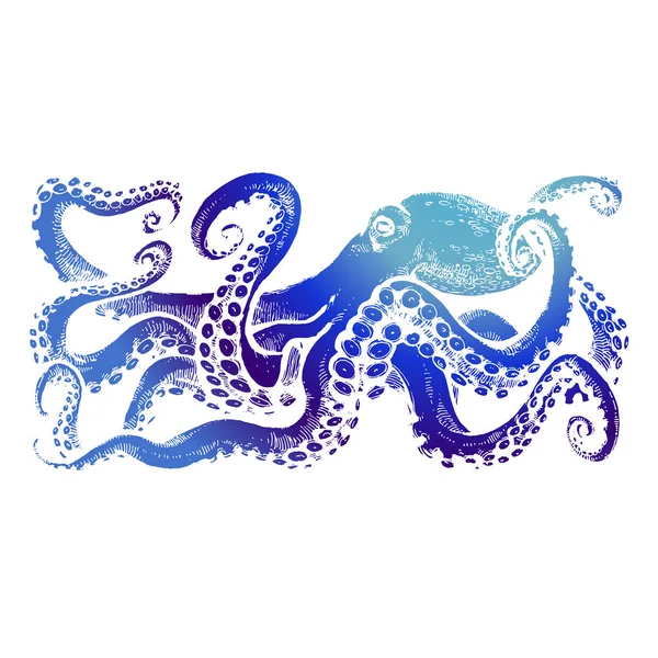 Blue Octopus with tentacles. Hand drawn stock vector illustration