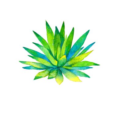 Renkli çiçek suluboya etli