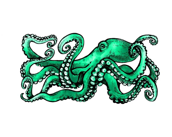 Pulpo Verde Con Tentáculos Ilustración Dibujada Mano —  Fotos de Stock