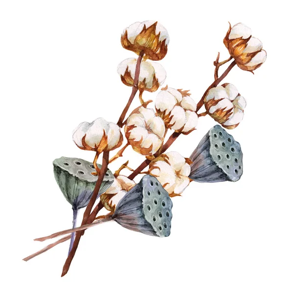 Akvarelu Bavlny Květiny Větev Ručně Malované Přírodní Prvek — Stock fotografie
