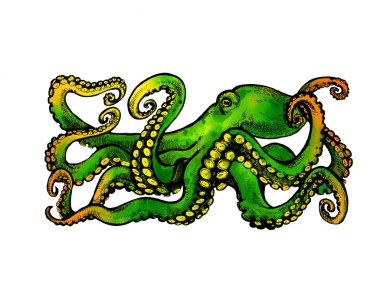 yeşil tentacles ahtapot. Elle çizilmiş illüstrasyon