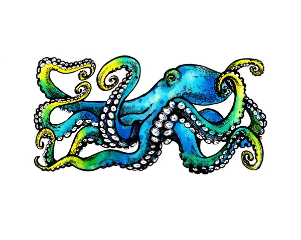 Pulpo Azul Con Tentáculos Ilustración Dibujada Mano —  Fotos de Stock