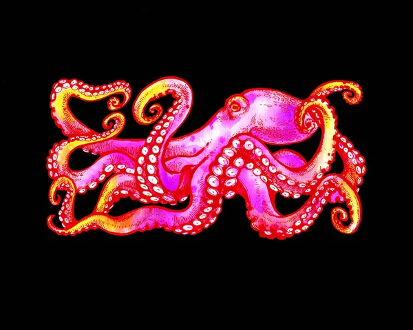 pink Octopus with tentacles. Hand drawn  illustration