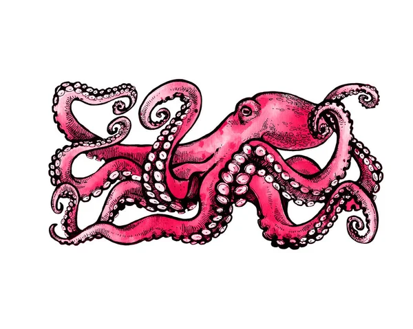 Rode Octopus Met Tentakels Hand Getekende Illustratie — Stockfoto