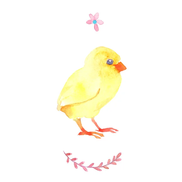 Gula Nyfödda Chick Höna Akvarell Illustration Isolerade Vit Bakgrund — Stockfoto