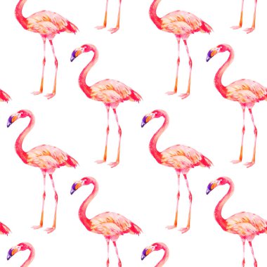 Beyaz arka planda pembe flamingo. Dikişsiz desen, suluboya tekstil tasarımı