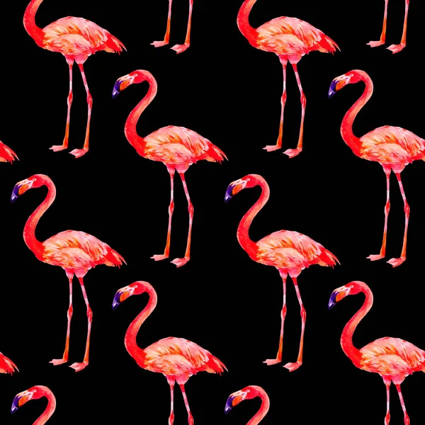 Roze Flamingo Exotische Vogels Zwarte Achtergrond Naadloze Patroon Aquarel — Stockfoto