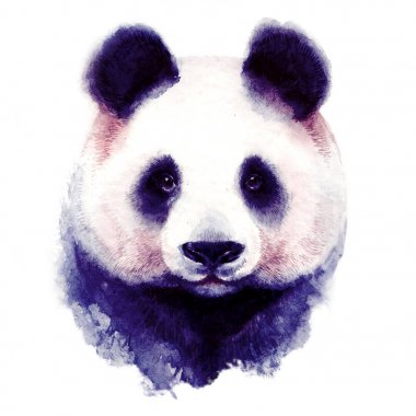Panda ayı suluboya illüstrasyon portre