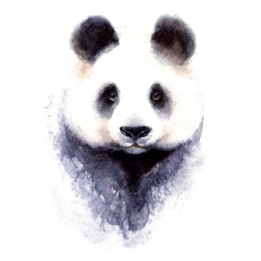 Panda ayı suluboya illüstrasyon portre