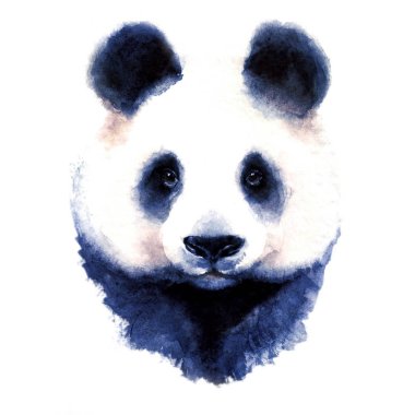Panda ayı suluboya illüstrasyon portre
