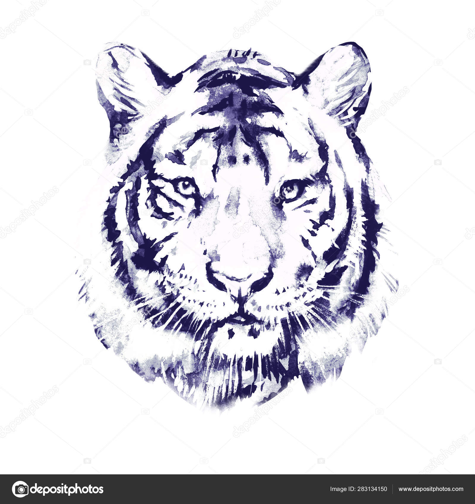 White Tiger Wild Animal Watercolor Illustration White Background Stock Photo by ©NaDo_Krasivo 283134150 White Tiger Wild Animal Watercolor Illustration White Background Stock Photo by ©NaDo_Krasivo 283134150