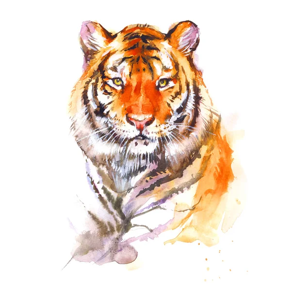 Tigre Laranja Colorido Animal Selvagem Aquarela Ilustração Fundo Branco — Fotografia de Stock