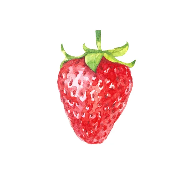 Rote Erdbeere Bunte Aquarell Illustration Isoliert Auf Weißem Hintergrund — Stockfoto