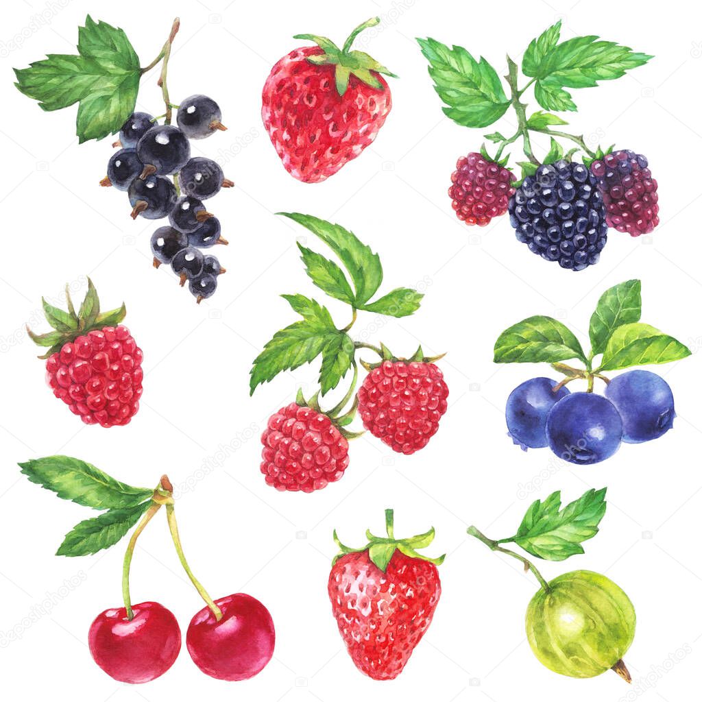 Watercolor colorful berry collection, set isolated on white background; strawberry, cherry, blackberry, gooseberry, raspberry