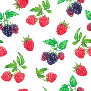 Yeşil yapraklı suluboya ahududu ve böğürtlen. Beyaz arka planda yaz ormanı meyveleri dokusu.