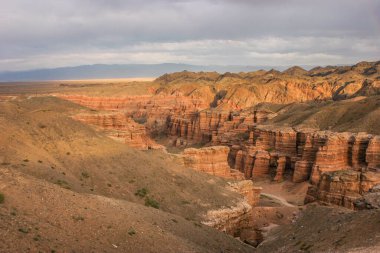 Gün batımında güzel çöl manzarası