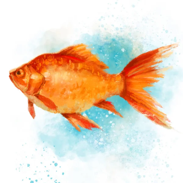 Watercolor Gold Fish Blue Water Splashes Background Hand Drawn Illustration — Stock Photo, Image