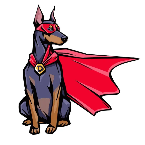 带着神秘超人面具和红色斗篷的多伯曼超级英雄犬装扮 动物漫画英雄 在白色背景上孤立的卡通概念种群矢量图解 — 图库照片