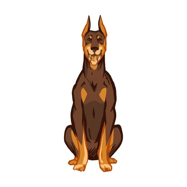 Rust Doberman Chien Assis Image Dessin Animé Stylisé Illustration Vectorielle — Photo