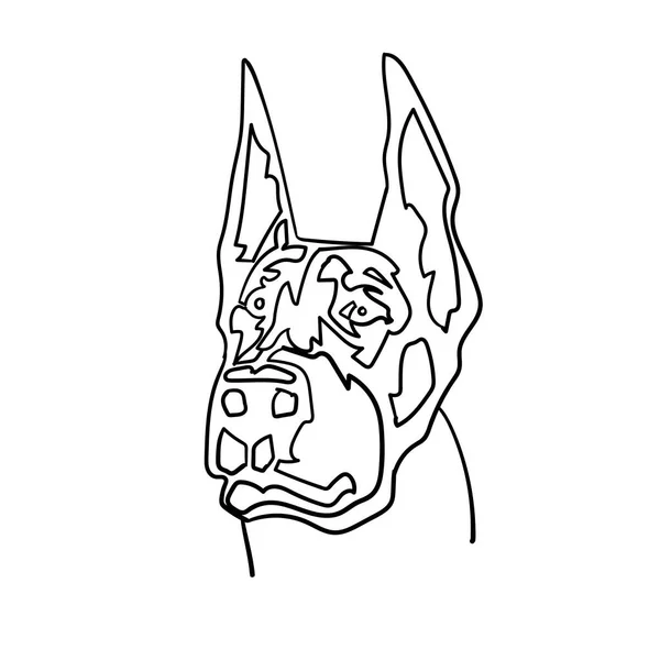 Doberman Portresi Köpek Mürekkebi Çizimi Çizimi Çizimi Beyaz Arkaplanda Izole — Stok fotoğraf