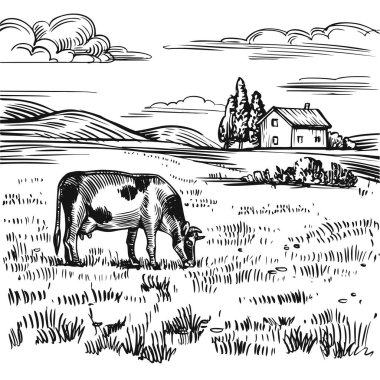Kırsal alan, kırsal çiftlik manzarası çayırda bir inek, eski kır evi, tarla ve tepeler. Elle çizilmiş siyah beyaz çizim, klasik hisse senedi vektör çizimi.