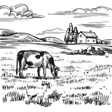 Kırsal alan, kırsal çiftlik manzarası çayırda bir inek, eski kır evi, tarla ve tepeler. Elle çizilmiş siyah beyaz çizim, klasik hisse senedi vektör çizimi.