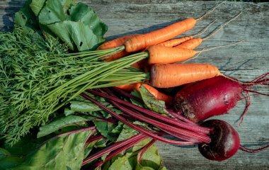 Eski ahşap arka planda yeşil yapraklı taze turuncu havuç ve pancar demeti. Fotoğrafı kapat