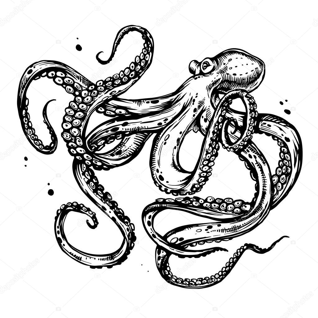 Octopus with tentacles. Hand drawn ink doodle sketch, black and white line art, stock  illustration isolated on white background. Design for tattoo, coloring book page.