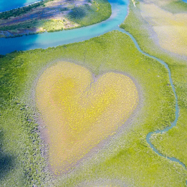 Heart of Voh, aerial view, formation of mangroves vegetation resembles a heart seen from above, New Caledonia, Micronesia, South Pacific Ocean. Heart of Earth. Earth day. Love life, save environment