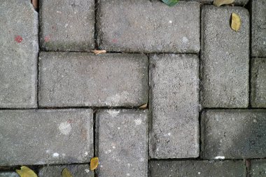 Dağınık yapraklı, yıpranmış tuğla kaldırıma yakın..