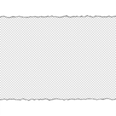 Metnin için yırtık kenarlı vektör yırtılmış kağıt
