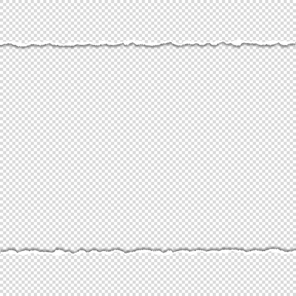 矢量撕破纸与撕破边缘与空白处为您的文字 — 图库矢量图片
