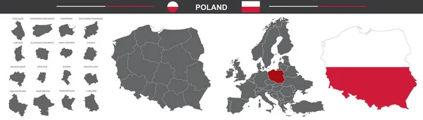 Politische Vektorkarte Von Polen Auf Weißem Hintergrund — Stockvektor