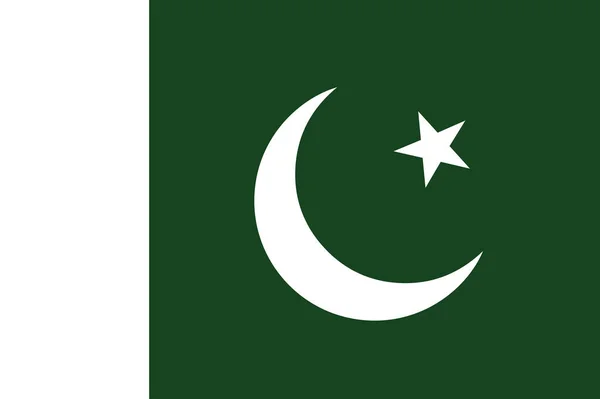 Pákistánská Vlajka Vektorová Ilustrace — Stockový vektor