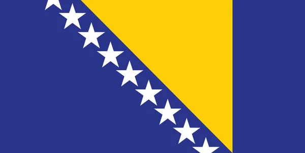 Bandera Bosnia Herzegovina Ilustración Vectorial — Vector de stock