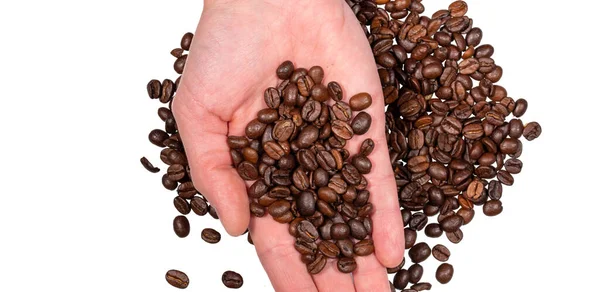Kaffeebohnen Der Hand Isoliert Auf Weißem Hintergrund — Stockfoto