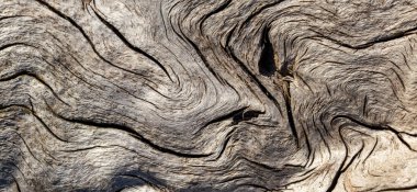 Eski ahşap dokusu - doğa malzemesi arka planı