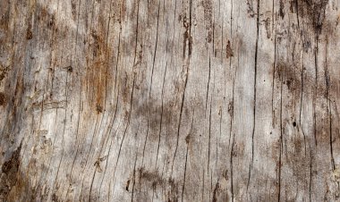 Eski ahşap dokusu - doğa malzemesi arka planı