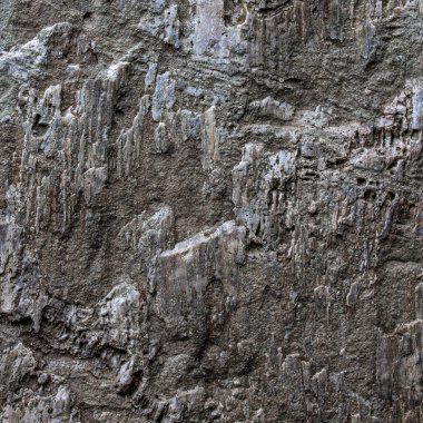 eski kaya dokusu arkaplanı