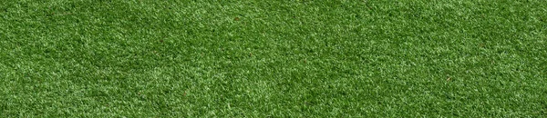 Yeşil Çimen Alanının Arkaplanı — Stok fotoğraf