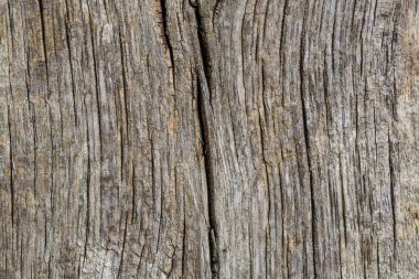 Eski tahta duvar yüzey arkaplanının dokusu