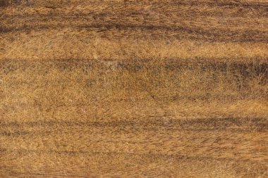 Eski ağaç gövdesinin ahşap dokusu - ahşap yüzey arkaplanı