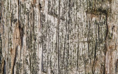 Eski tahta duvar yüzey arkaplanının dokusu